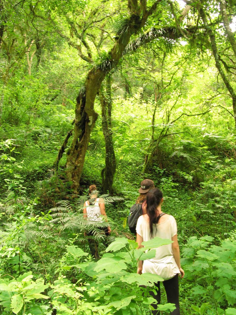 Reserva Natural Aldea Luna